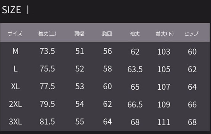 ウィンドブレーカー  マウンテンパーカ レインコート アウター ジャケット 上下セット ユニセックス (90073)